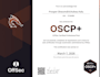 pentest your web, mobile applications with detailed report