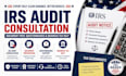 provide irs audit consultation, document prep, questionnaires, business tax help