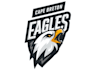 create high quality eagle mascot logo with t shirt design