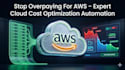audit your AWS billing and deploy cloud cost optimization automation