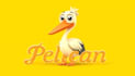 make eye catching pelican bird logo only 12 hours