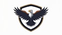 do make awesome style eagle eye aerial solutions mascot logo design