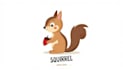 make different squirrel logo with express delivery
