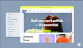 build a professional shopify or woocommerce ecommerce website