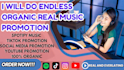 create and run SEO advertising for your spotify music