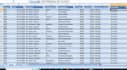 do professional excel data entry, data cleaning, and payroll