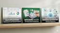 provide expert saas development and data entry services
