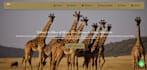 build a tour and safari booking website with react