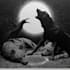draw dark art animal illustration