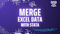 do econometric data analysis with excel and stata