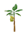 illustrate a fruit, plant or flower