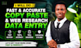 do fast and accurate copy paste and web research data entry