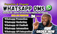 do whatsapp mass dm, mass dm, whatsapp bulk messaging marketing, API setup