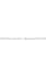 convert voice messages and videos into text