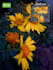 photoedits, enhance , retouching and object remove