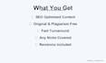 write SEO optimized blog posts and articles that rank on google
