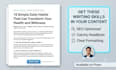 write SEO blog posts, articles, and web content that rank and convert