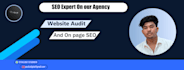 do professional SEO services to improve google ranking