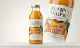 design premium beverage label, bottle label, wine label and packaging design