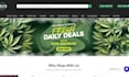 design a professional cannabis, cbd, hemp, dispensary and marijuana website