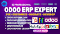 fix odoo bug odoo customization oddo website and oddo erp issues