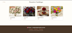 design and code a modern website with HTML and CSS