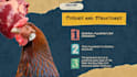 design canva and powerpoint slides