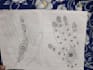 create beautiful mehndi henna designs and logo