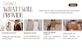 design professional presentation slides and canva pitch deck