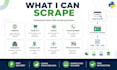 scrape websites and export data to excel CSV json