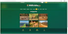 build a stylish and responsive web