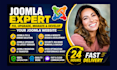 fix, upgrade, migrate and develop your joomla website