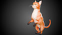 create 3d pet model dog cat animal character model with rigging and animation