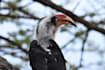 create a custom tanzania safari itinerary