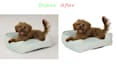 do professional image masking and background removal service