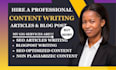 be your professional content writer