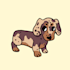 turn your pet into a silly, cute doodle illustration