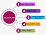 provide b2b leads with accurate data entry services