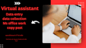 do data entry ms office work database and copy paste work