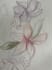 create a basic tattoo sketch