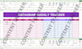 create an automatic custom excel social media  content tracker and engagement