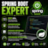 develop, fix, and debug java applications and spring boot projects