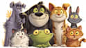 draw custom animal cartoon illustration