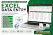 do excel data entry,excel dashboard with reports