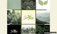 design a brand identity and logo for d2c brands