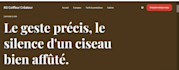create a professional french business website or landing page