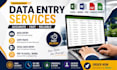 do data entry, copy paste, data scraping, web scraping expert