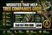 tree removal service storm cleanup storm damage arborist website landscaping