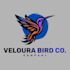 design modern, cinematic logo
