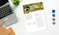 design a professional resume or cv